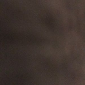 Meet your Posher, Roselyn